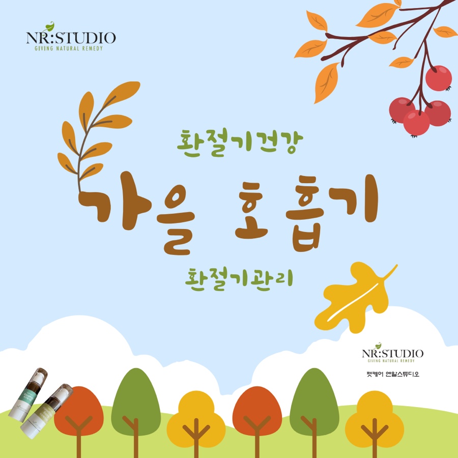 네추럴레매디 이미지