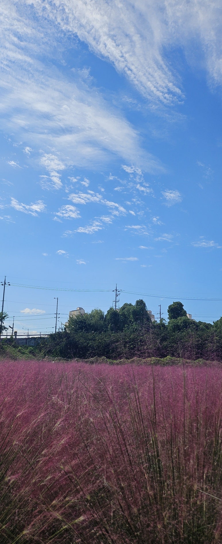 더쫌 이미지