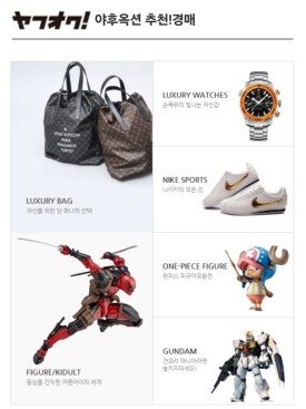 주비드 이미지