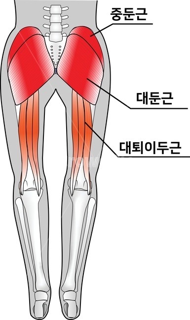 바른운동 이미지