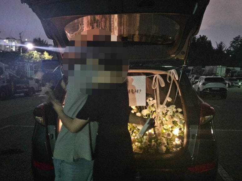 도이브 이미지