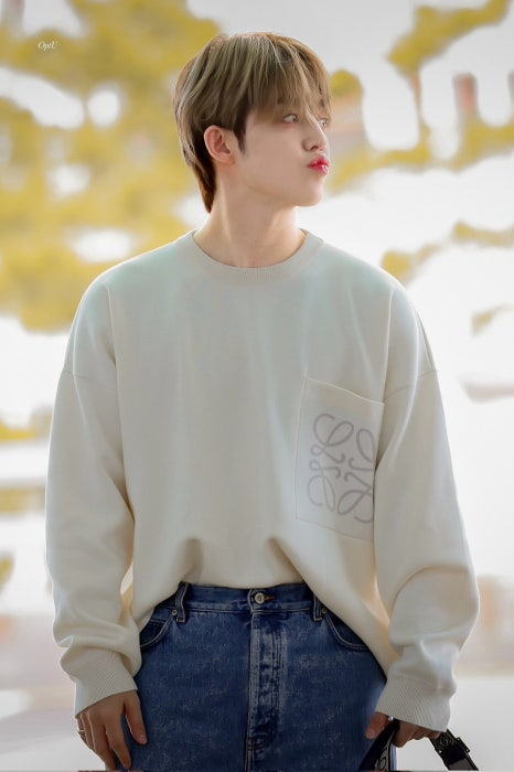 바니바니 이미지