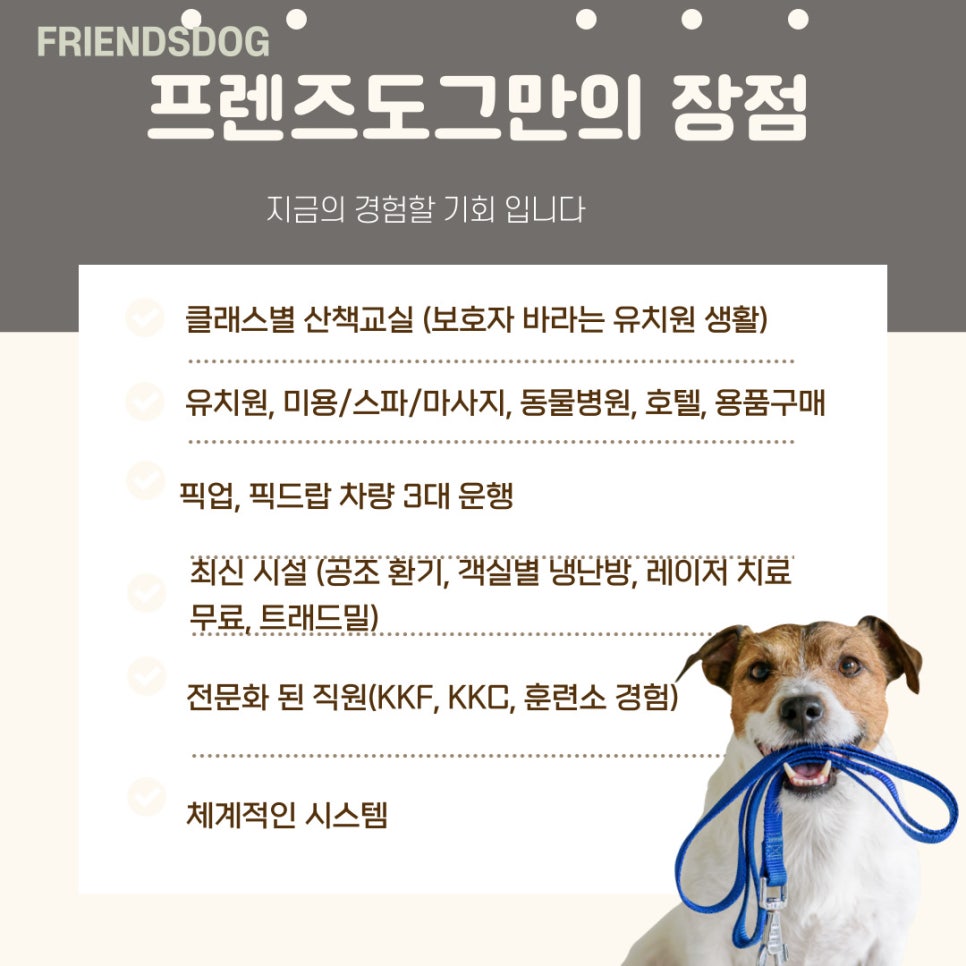 프랜즈유치원 이미지