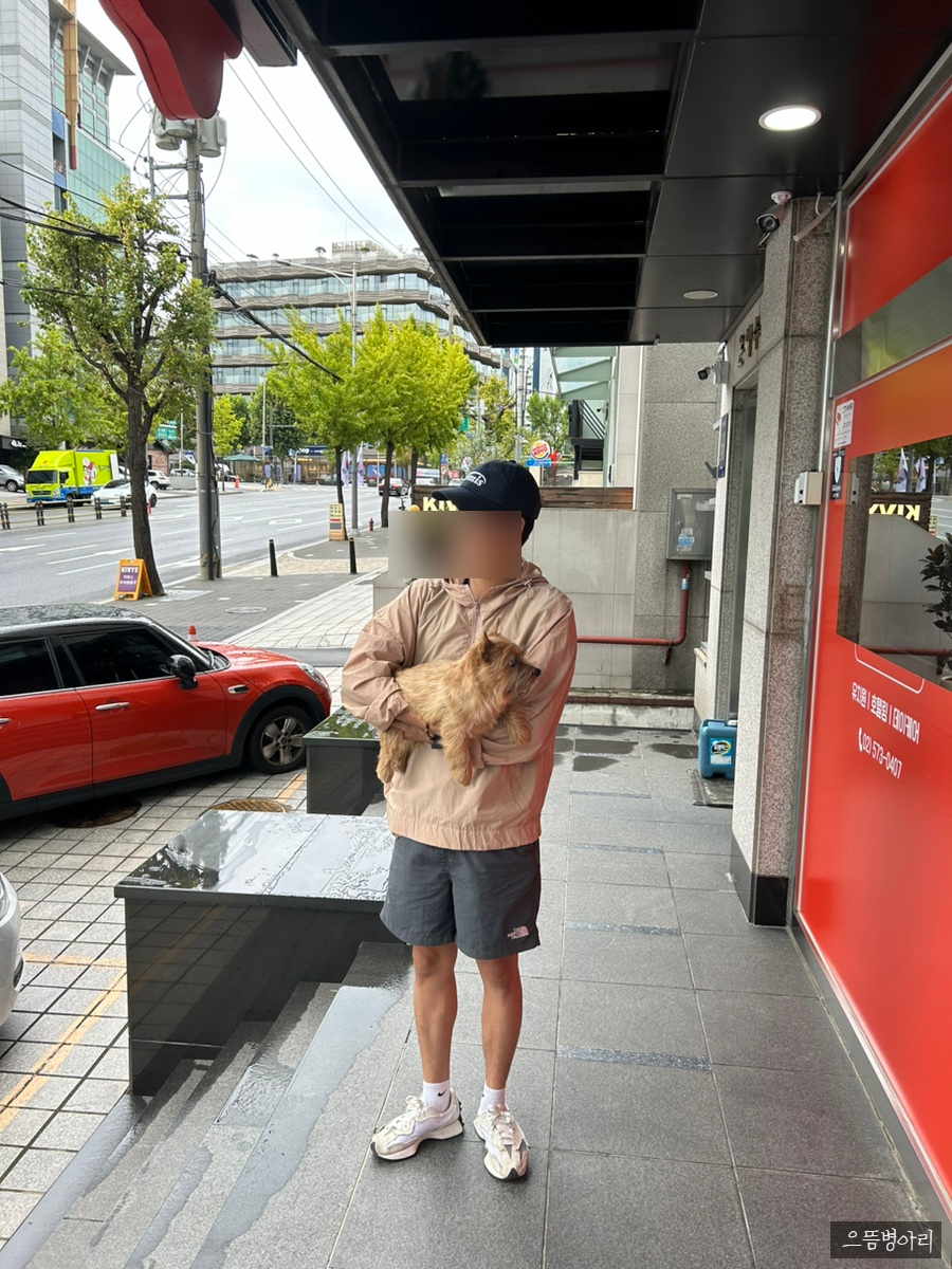 강남 애견유치원 놀러오개, 합리적 비용과 체계적 프로그램 — 사진 4