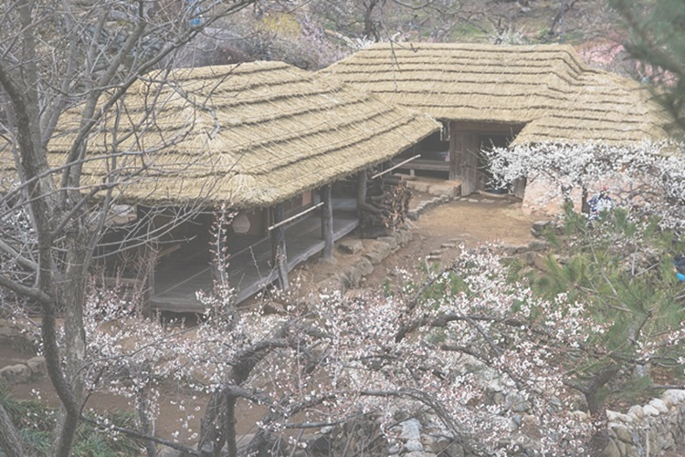 협재의바람 이미지