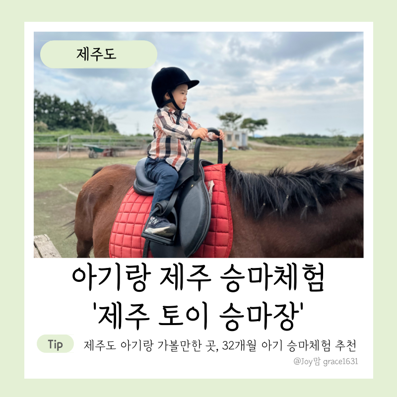 제주토이승마장 이미지