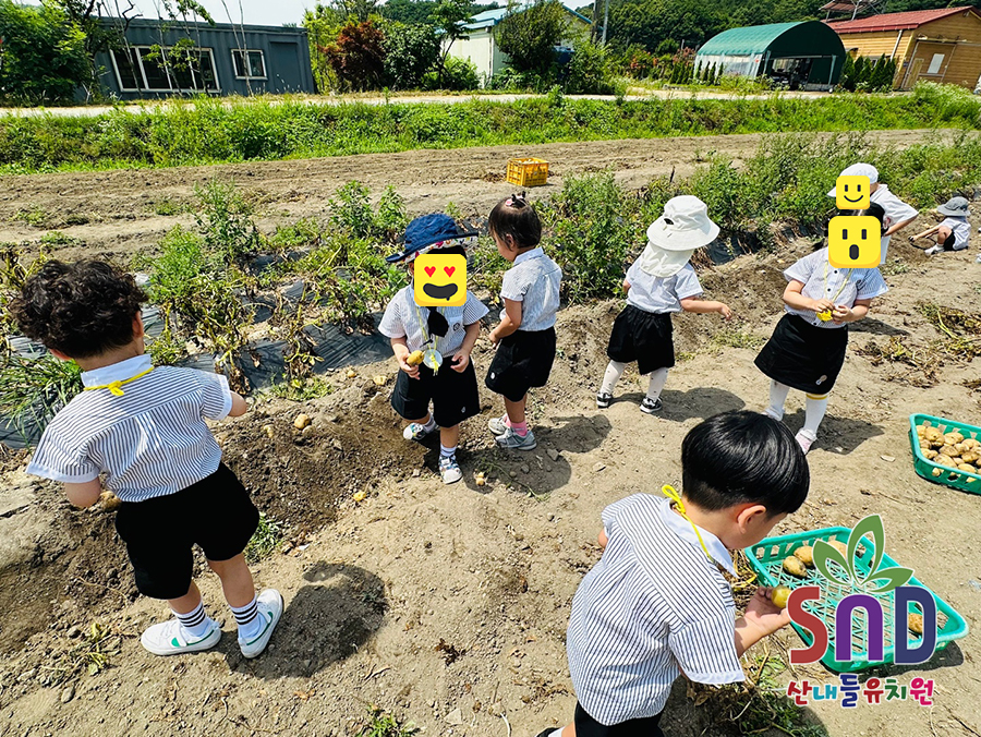 산내들유치원 이미지