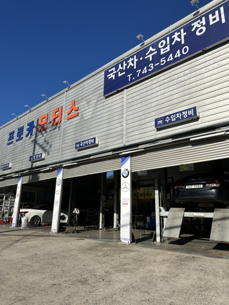 프로카모터스 이미지