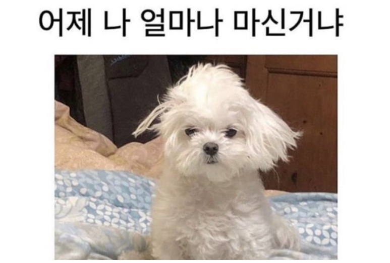 우솔 이미지
