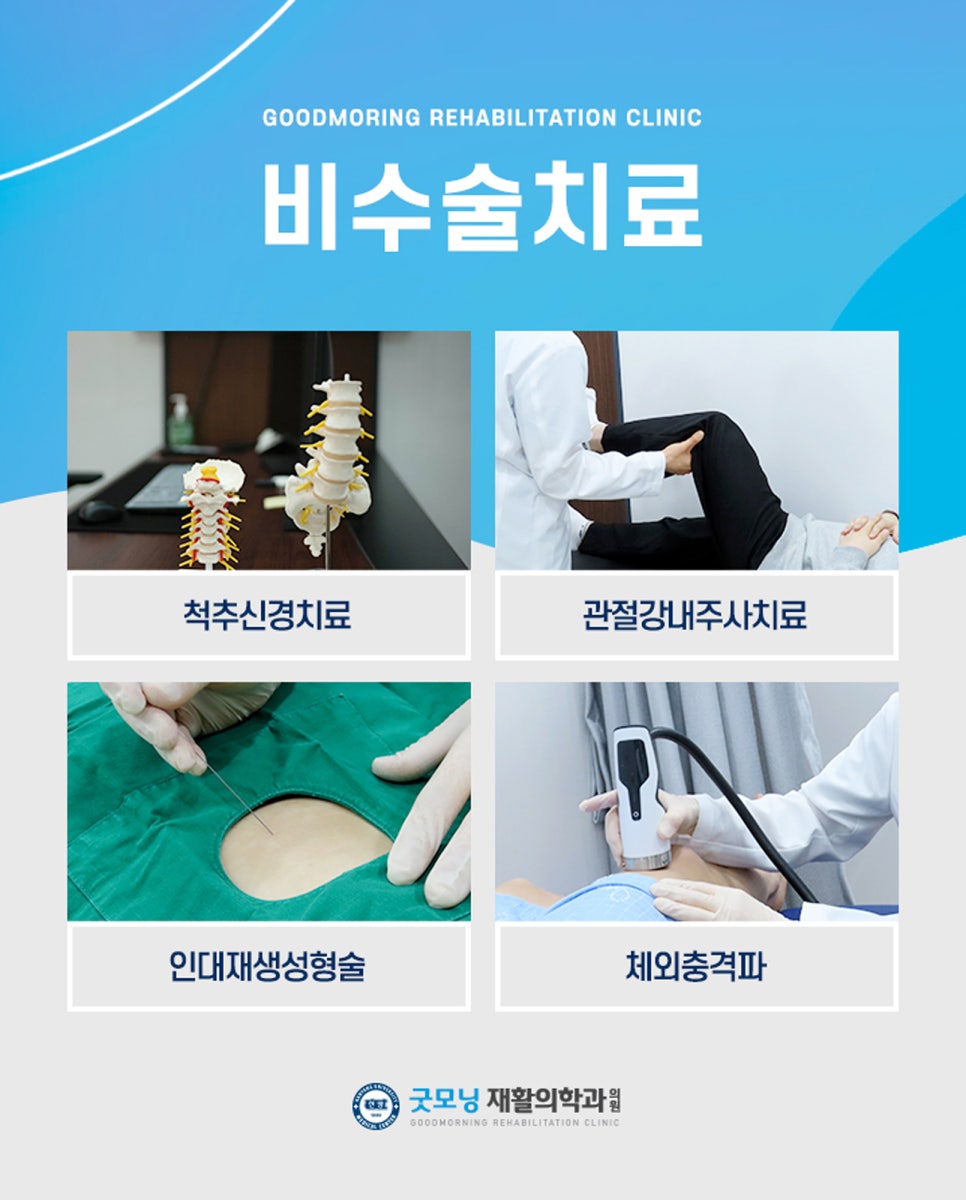 더디스크 이미지