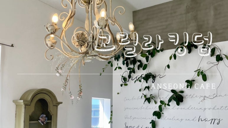 고릴라킹덤 이미지