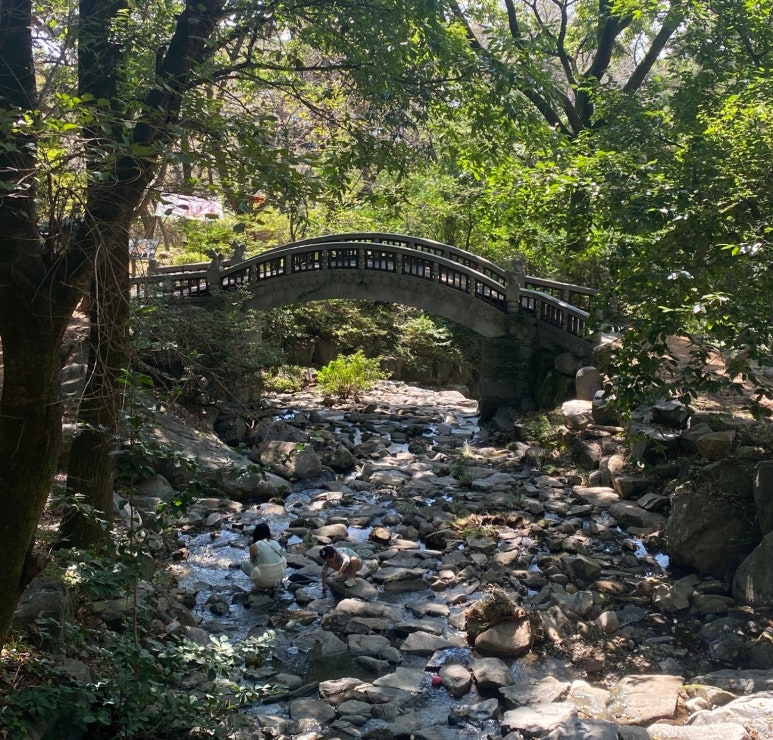 창원 편백치유의숲 유아숲체험원 이미지