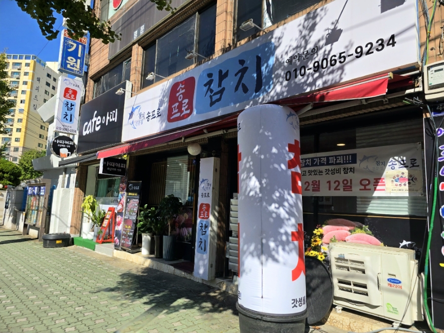 송프로 참치 이미지