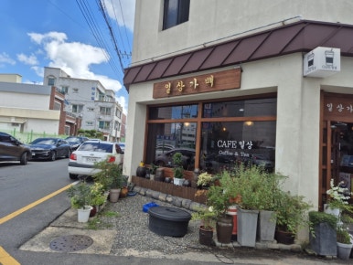 일상가배 이미지