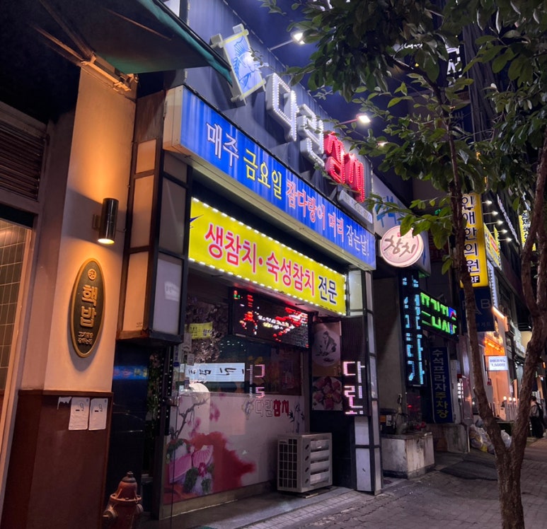다린참치 이미지