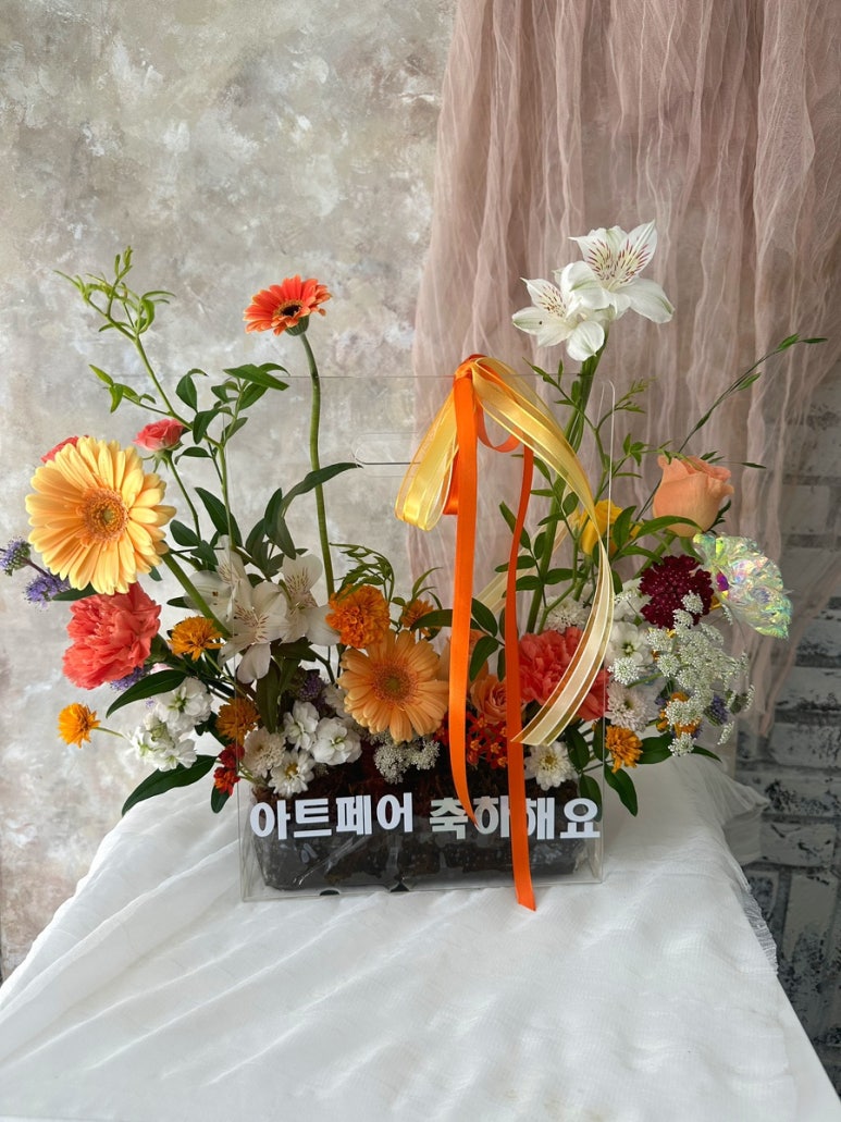 블랑드플레르 이미지