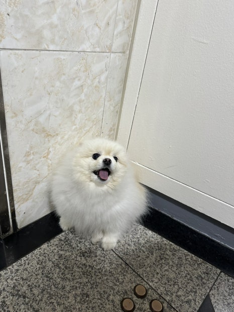 수원403피아노연습실 이미지