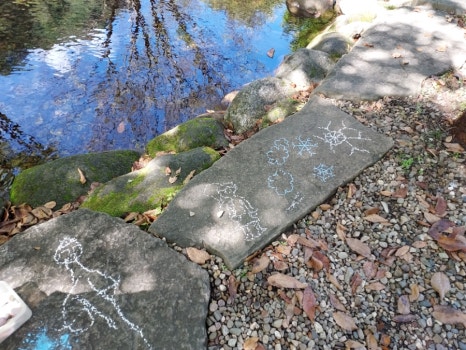 소백산국립공원 삼가천동코스 이미지