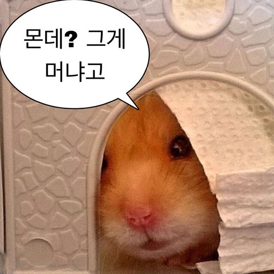 교보문고주 이미지