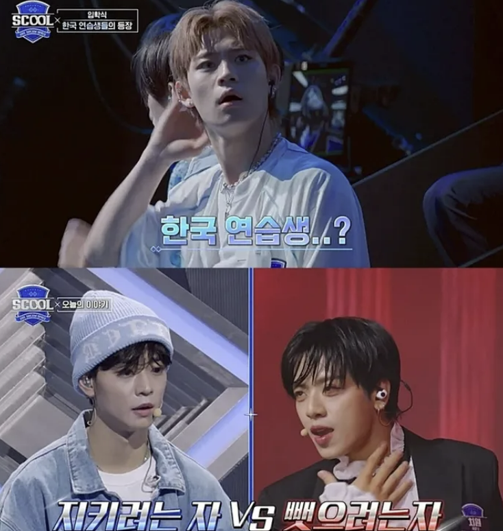 메이저세븐이엔엠 이미지