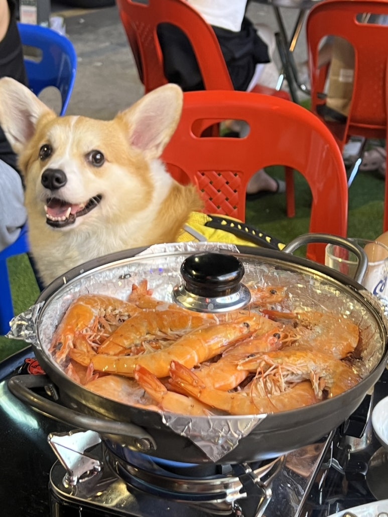 꺼꾸잽이 초장집 상봉점 이미지