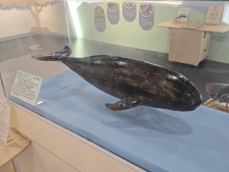 다도해횟집 이미지