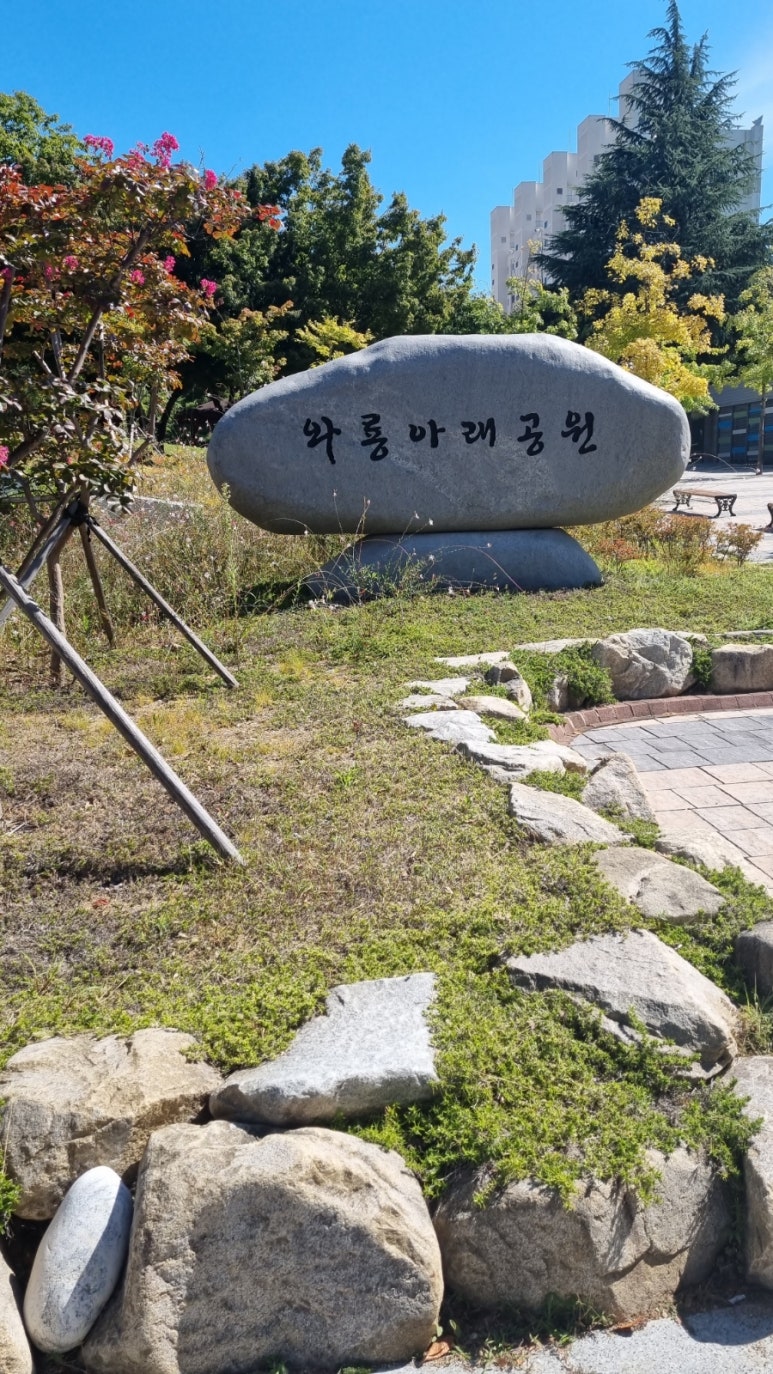 와룡(아래)공원 이미지