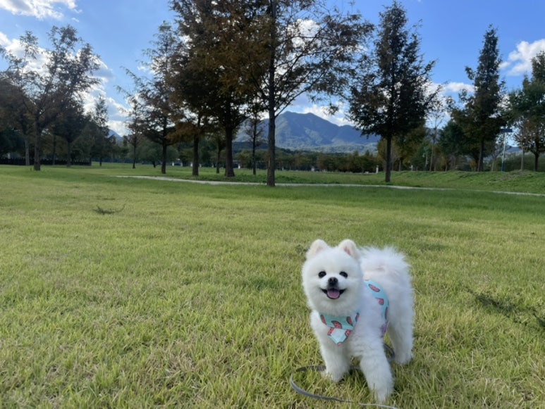 오씨오씨 이미지