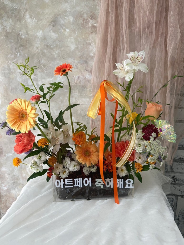 블랑드플레르 이미지