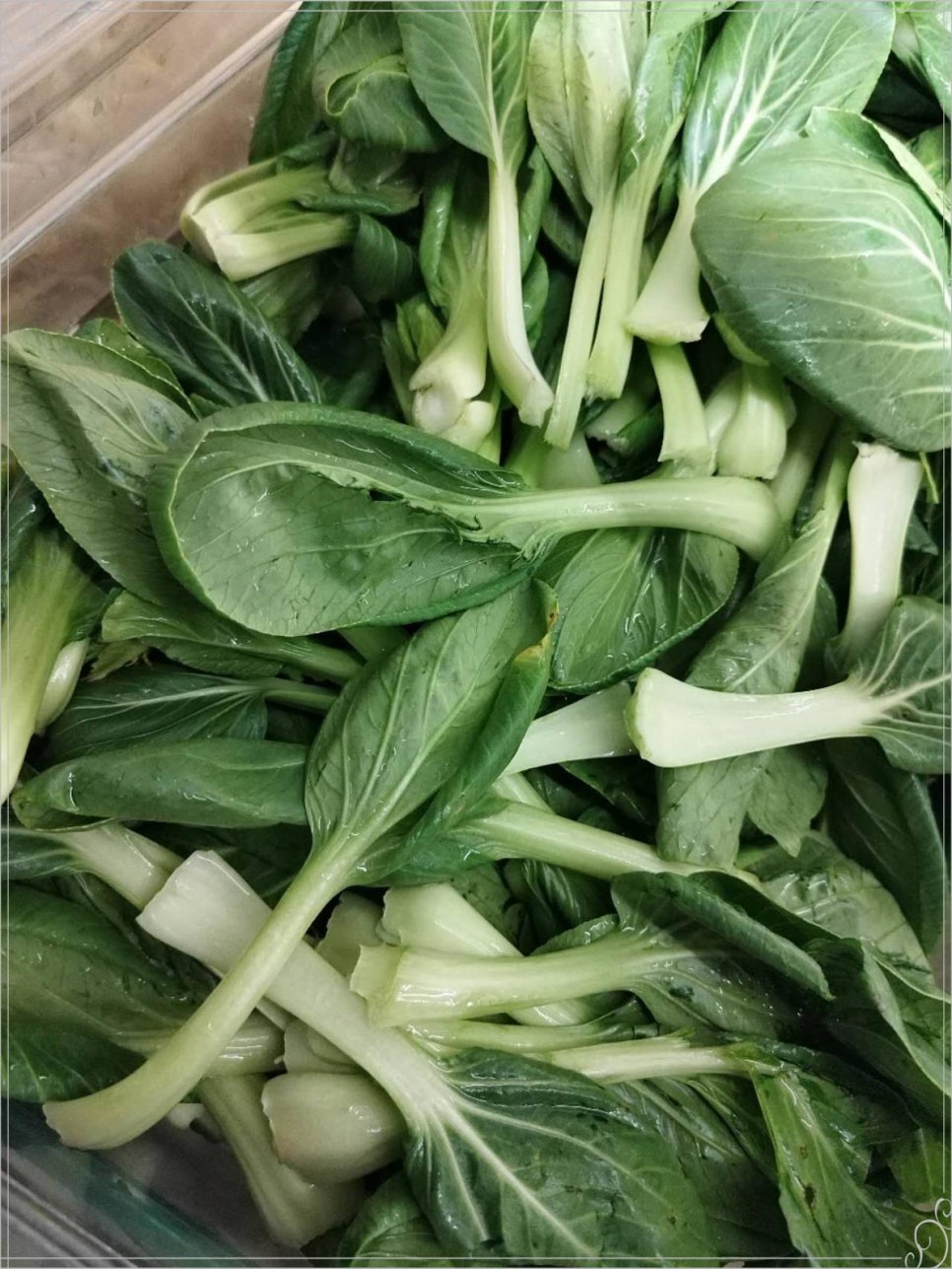 마라중독 이미지