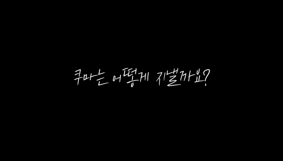 쿠마스토리 이미지