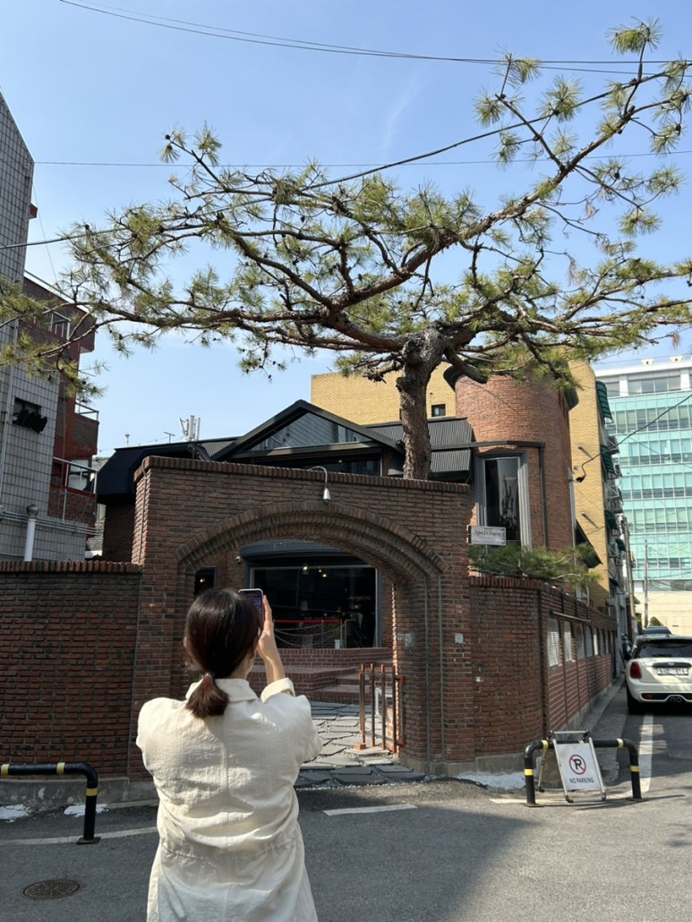 까사디차차 이미지