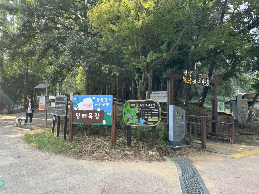 늘솔근린공원 유아숲체험원 이미지