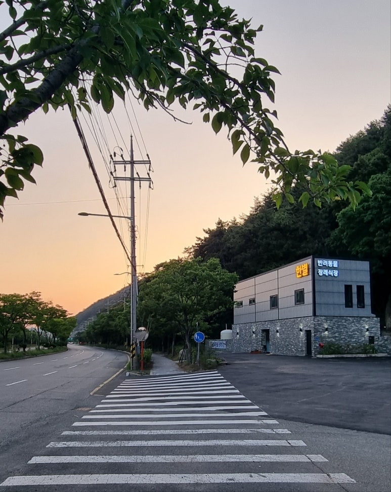 더한별 이미지