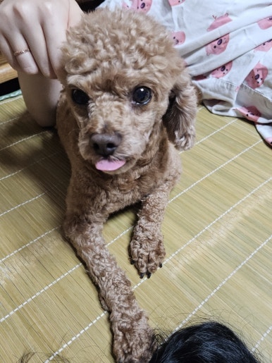 양민가정의원 이미지