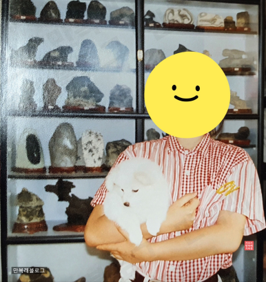 금성식육점 이미지