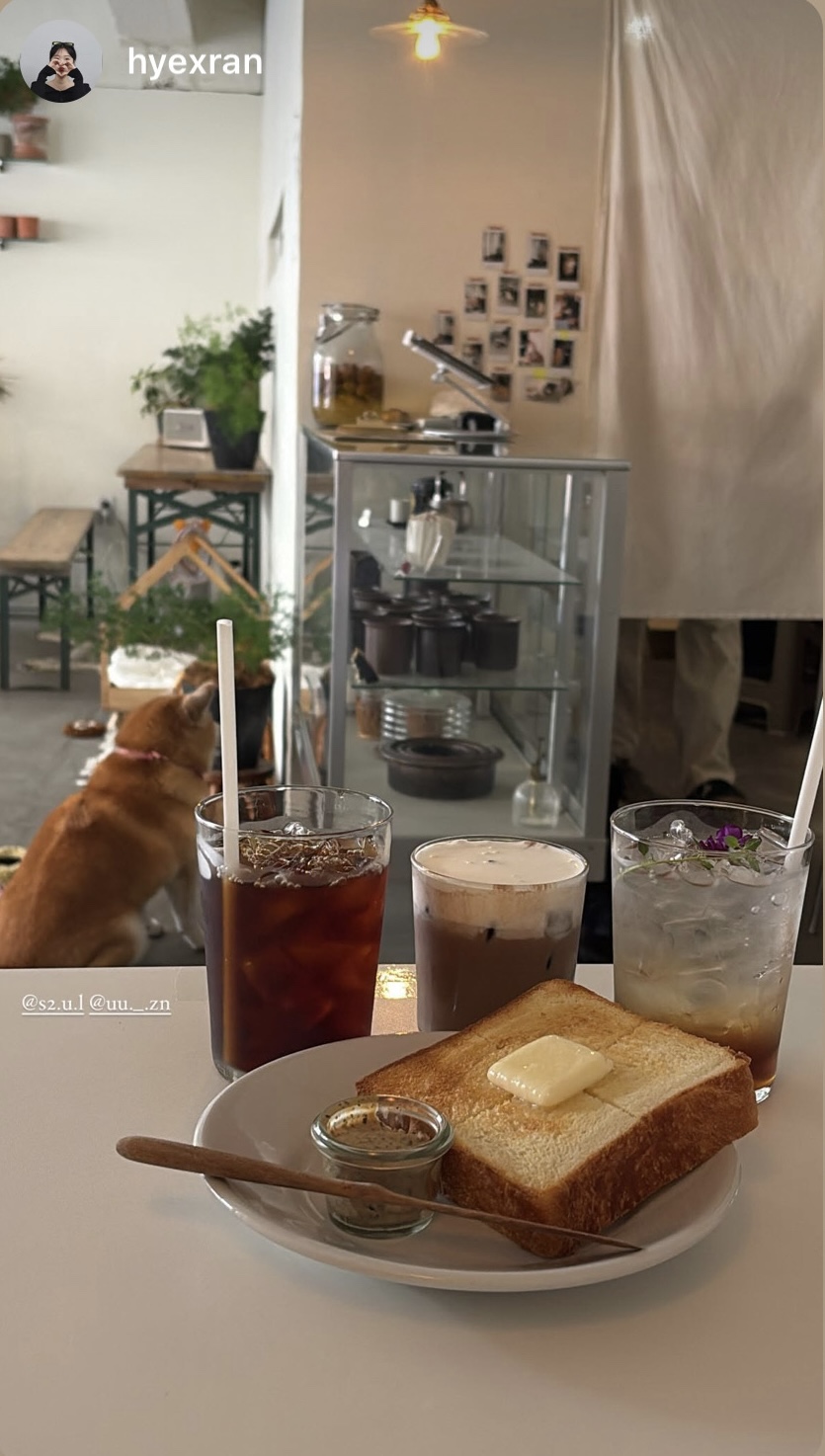 여우바라기 이미지