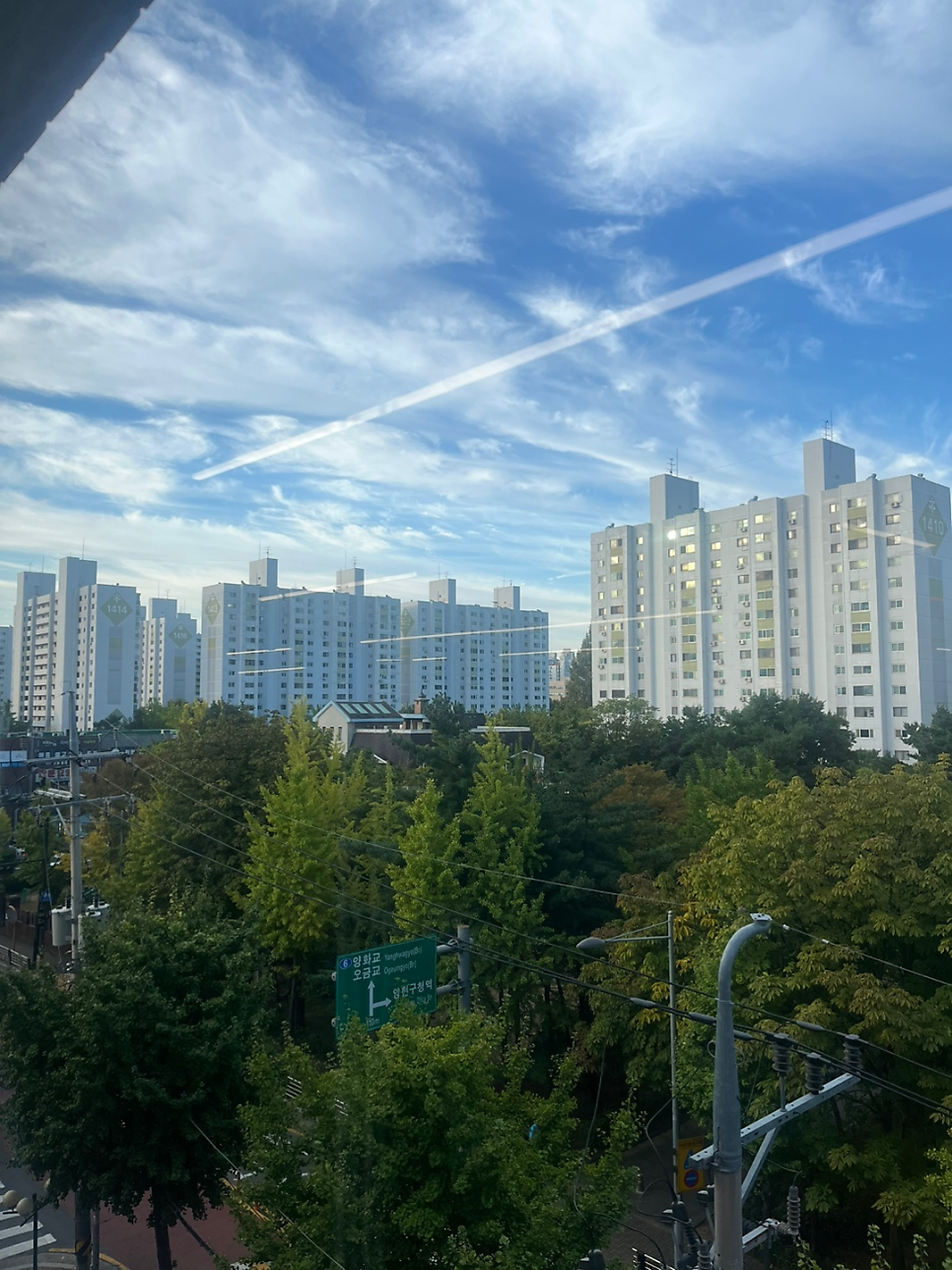 제이미휘트니스 이미지