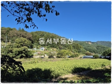 신북농협하나로마트 이미지