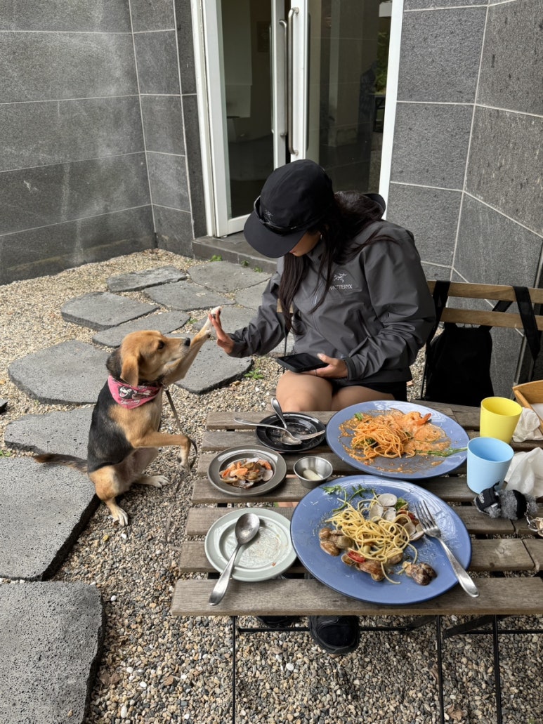 엠식당 이미지