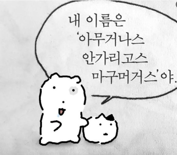 인제주카페 이미지