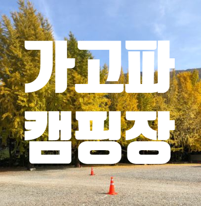 내공리700 이미지