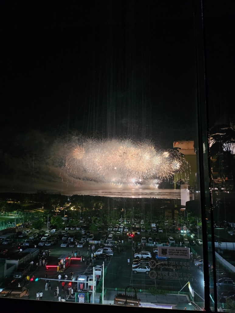 부산고양이까페나비정원 이미지