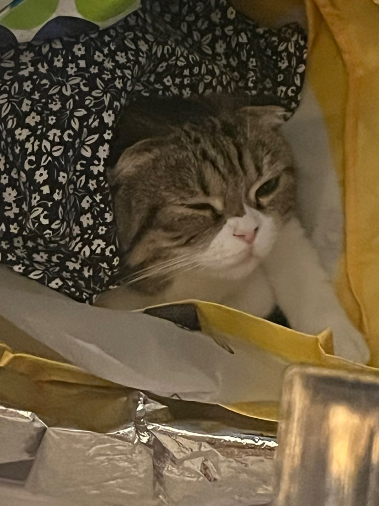 도원미장원 이미지