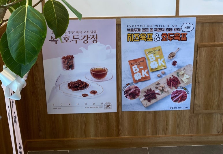 복호두아산 이미지