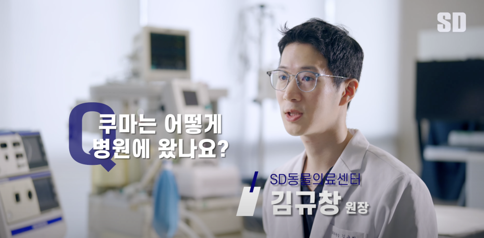 쿠마스토리 이미지