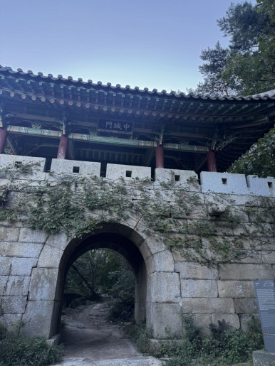 성문정보 이미지