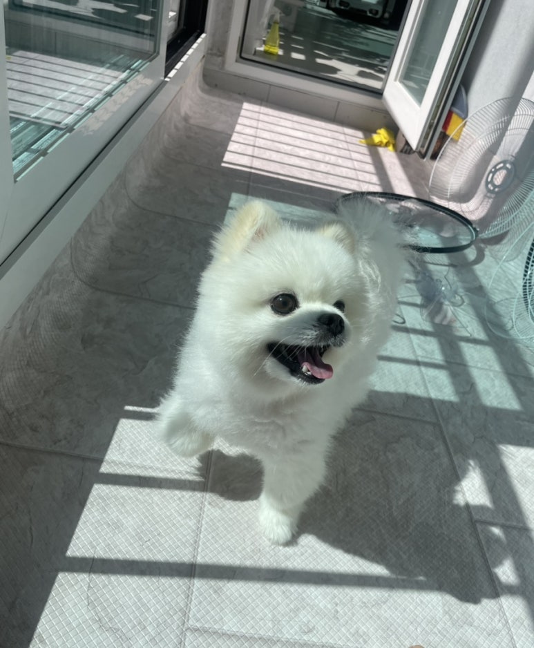 오씨오씨 이미지