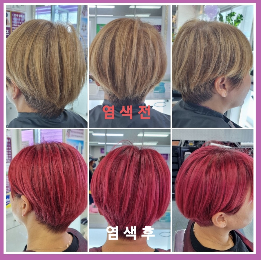 큐사랑 이미지