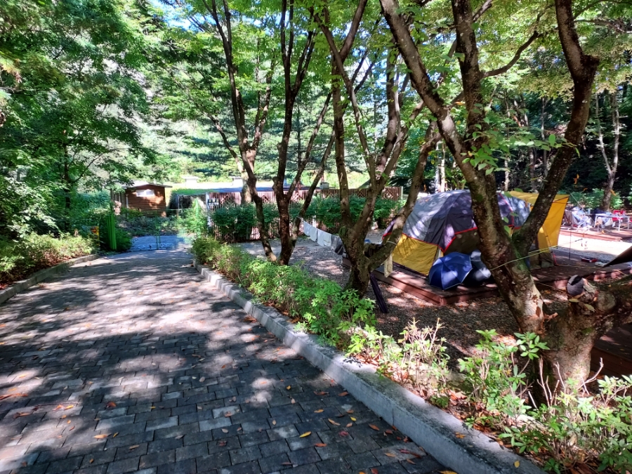 소백산국립공원 삼가천동코스 이미지